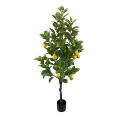 Διακοσμητικό φυτό Lemon tree σε γλάστρα Inart πράσινο pp Υ150εκ |  Φυτά συνθετικά - Λουλούδια στο espiti