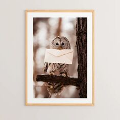 Πίνακας Owlyne pakoworld με ψηφιακή εκτύπωση και πλαίσιο 33x1.5x48εκ |  Πίνακες στο espiti