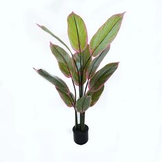 Διακοσμητικό φυτό σε γλάστρα Calathea Inart πράσινο Φ68x120εκ |  Φυτά συνθετικά - Λουλούδια στο espiti