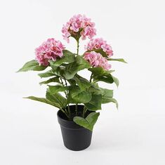 Διακοσμητικό φυτό σε γλάστρα Hydrangea Inart ροζ Φ35x50εκ |  Φυτά συνθετικά - Λουλούδια στο espiti