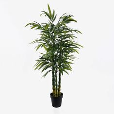 Διακοσμητικό φυτό σε γλάστρα Arti Bamboo Inart πράσινο Φ70x150εκ |  Φυτά συνθετικά - Λουλούδια στο espiti