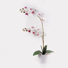 Διακοσμητικό φυτό σε γλάστρα Οrchid White Inart 36x17x65εκ |  Φυτά συνθετικά - Λουλούδια στο espiti