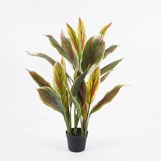 Διακοσμητικό φυτό σε γλάστρα Cycas Inart πράσινο Φ55x80εκ |  Φυτά συνθετικά - Λουλούδια στο espiti