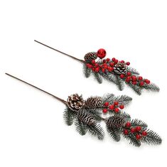 Κλαδί Berries Κουκουνάρια 60cm Σε 2 Σχέδια 06511968 ArteLibre |  Χριστουγεννιάτικα Διακοσμητικά στο espiti