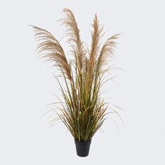 Διακοσμητικό φυτό σε γλάστρα Bulrush Inart Φ65x120εκ |  Φυτά συνθετικά - Λουλούδια στο espiti