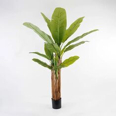 Διακοσμητικό φυτό σε γλάστρα Banana Tree Inart πράσινο Φ53x190εκ |  Φυτά συνθετικά - Λουλούδια στο espiti