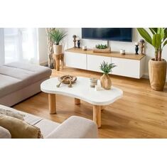 Stewehome Λευκό ξύλινο κεντρικό τραπέζι σαλονιού 120x70x37 cm 188495 |  Τραπεζάκια σαλονιού στο espiti