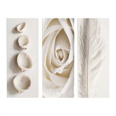 ΠΙΝΑΚΑΣ ΤΡΙΠΤΥΧΟ MDF NATURAL ELEMENTS HM7204.05 60X0,3X50 εκ. |  Πίνακες στο espiti