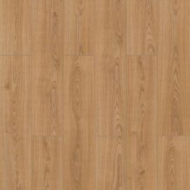 ΔΑΠΕΔΟ LAMINATE  URBAN  4V 8mm 007 PEKING NewPlan - NewPlan |   Laminate  στο espiti
