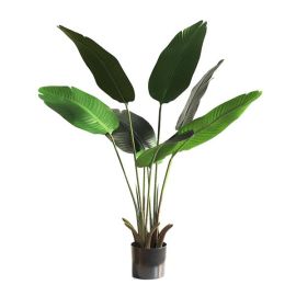 BANANA TREE NP1410_120  ΥΨΟΣ 120cm NewPlan - NewPlan |  Λουλούδια στο espiti