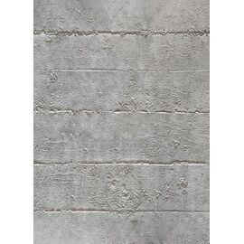 PANEL 117040 (ΚΙΒ 10ΤΜΧ) ΕΥΚΑΜΠΤΗΣ ΠΕΤΡΑΣ 600/1200mm CONCRETE BOARD LIGHT GREY NewPlan - NewPlan |  Διακόσμηση τοίχου στο espiti