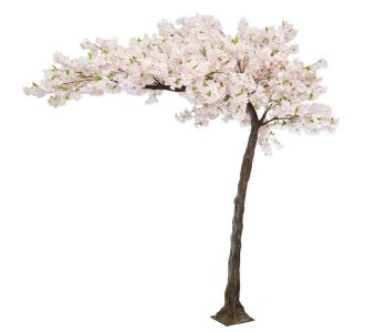 CHERRY BLOSSOM TREE NP0030_200  ΥΨΟΣ 200x200cm NewPlan - NewPlan |  Λουλούδια στο espiti