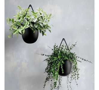Βάση - ζαρντινιέρα επιτοίχια σετ 2 τμχ μεταλλική για φυτά εσωτερικού και εξωτερικού χώρου χρώμα μαύρο 10x10x11εκ. |  Διακοσμητκά στο espiti