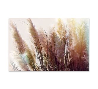 Πίνακας σε καμβά "Soft Pampas" Megapap ψηφιακής εκτύπωσης 125x80x3εκ. |  Πίνακες στο espiti
