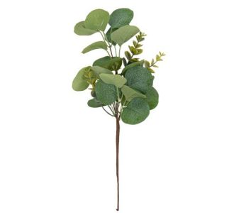 Beauty Home ΕΥΚΑΛΥΠΤΟΣ 35 CM       |  Λουλούδια στο espiti
