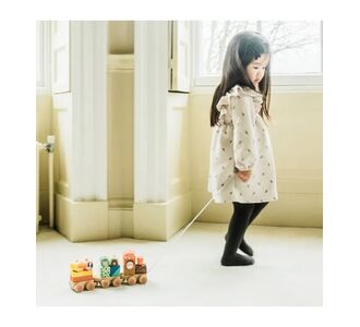 Ξύλινο τρένο Woodland  (FSC®) Orange Tree Toys |  Βρεφικές Πάντες στο espiti