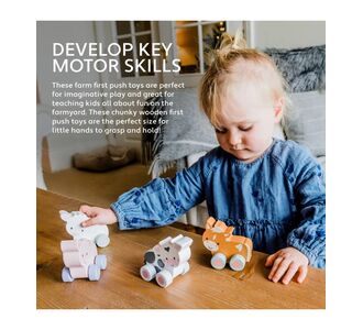 Πόνυ push & pull Orange Tree Toys |  Βρεφικές Πάντες στο espiti