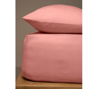 Κατωσέντονο Menta με λάστιχο 25 Powder Μονό (100x200+20) Sunshinehome |  Σεντόνια Μονά / Ημίδιπλα στο espiti