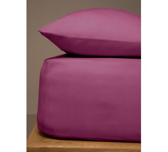 Κατωσέντονο Menta με λάστιχο 10 Mauve Διπλό (160x200+20) Sunshinehome |  Σεντόνια Διπλά στο espiti