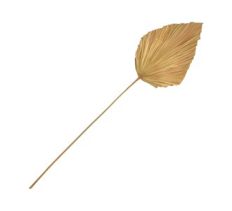 Διακοσμητικό φύλλο Walsy Inart palm leaf σε φυσική απόχρωση Υ135 εκ |  Διακοσμητκά στο espiti