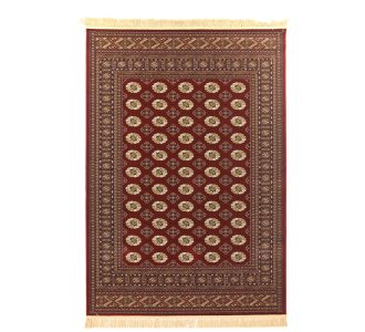 Κλασικό χαλί Sherazad 6465 8874 RED Royal Carpet - 240 x 300 cm |  Χαλιά Σαλονιού  στο espiti