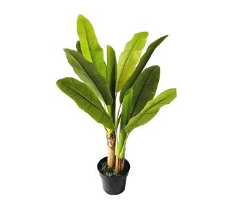 BANANA TREE NP014_120_22  ΥΨΟΣ 120cm NewPlan - NewPlan |  Λουλούδια στο espiti