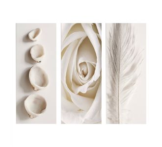 ΠΙΝΑΚΑΣ ΤΡΙΠΤΥΧΟ MDF NATURAL ELEMENTS HM7204.05 60X0,3X50 εκ. |  Πίνακες στο espiti