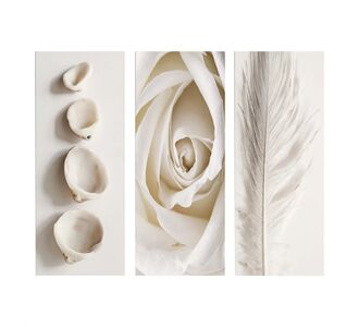ΠΙΝΑΚΑΣ ΤΡΙΠΤΥΧΟ MDF NATURAL ELEMENTS HM7204.05 60X0,3X50 εκ. |  Πίνακες στο espiti