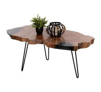 ΤΡΑΠΕΖΙ ΣΑΛΟΝΙΟΥ GLAZE HM9750 ΞΥΛΟ ΤΕΑΚ ΣΕ ΦΥΣΙΚΟ-ΜΑΥΡΑ ΜΕΤΑΛ.ΠΟΔΙΑ 110x60x48Υεκ. |  Τραπέζια στο espiti
