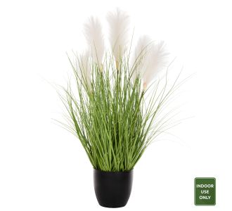 ΔΙΑΚΟΣΜΗΤΙΚΟ ΣΥΝΘΕΤΙΚΟ ΦΥΤΟ HM4025 GRASS ΣΕ ΓΛΑΣΤΡΑ 89Υεκ. |  Λουλούδια στο espiti