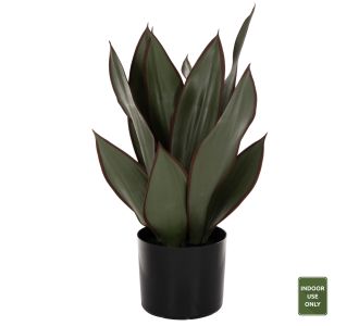 ΔΙΑΚΟΣΜΗΤΙΚΟ ΣΥΝΘΕΤΙΚΟ ΦΥΤΟ HM7996 ΠΛΑΤΥΦΥΛΛΗ ΣΑΝΣΕΒΙΕΡΙΑ ΣΕ ΓΛΑΣΤΡΑ Φ14x12-51Υεκ. |  Λουλούδια στο espiti