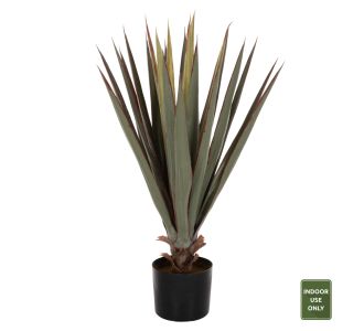 ΔΙΑΚΟΣΜΗΤΙΚΟ ΣΥΝΘΕΤΙΚΟ ΦΥΤΟ HM7985 SISAL AGAVE ΣΕ ΓΛΑΣΤΡΑ  Φ13,5x13-76Υεκ. |  Λουλούδια στο espiti