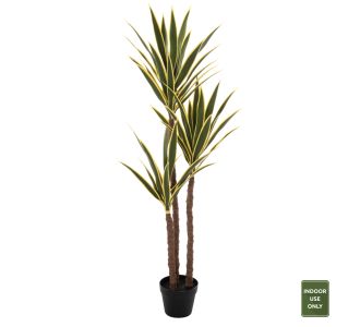 ΔΙΑΚΟΣΜΗΤΙΚΟ ΣΥΝΘΕΤΙΚΟ ΦΥΤΟ HM7984 ΦΟΙΝΙΚΟΔΕΝΤΡΟ ΣΕ ΓΛΑΣΤΡΑ 140Υεκ. |  Λουλούδια στο espiti