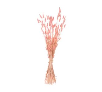 ΔΙΑΚΟΣΜΗΤΙΚΟ ΜΠΟΥΚΕΤΟ ΑΠΟΞΗΡΑΜΕΝΟ HM7960 RABBIT TAIL-PINK 75Υεκ. |  Λουλούδια στο espiti