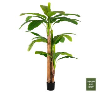 ΔΙΑΚΟΣΜΗΤΙΚΟ ΣΥΝΘΕΤΙΚΟ ΦΥΤΟ HM7978 ΔΕΝΤΡΟ ΜΠΑΝΑΝΑΣ ΣΕ ΓΛΑΣΤΡΑ 200Υεκ. |  Λουλούδια στο espiti