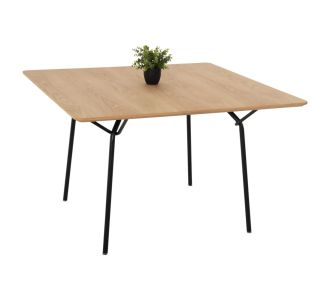 ΤΡΑΠΕΖΙ ΤΡΑΠΕΖΑΡΙΑΣ TRENK HM9614.01 MDF ΜΕ ΚΑΠΛΑΜΑ ΔΡΥΟΣ ΦΥΣΙΚΟ-ΜΑΥΡΟ ΜΕΤΑΛΛΟ 120x120x75Υεκ. |  Τραπεζάκια σαλονιού στο espiti