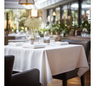 Beauty Home Τραπεζομάντηλο επαγγελματικό Stain Art Ε8496 100x100 Λευκό       |  Τραπεζαρία στο espiti