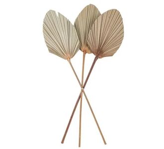 Beauty Home ΦΥΛΛΑ ΠΑΛΜΑ ΣΕΤ 3 ΤΜΧ 60 x 15 cm       |  Διακοσμητκά στο espiti