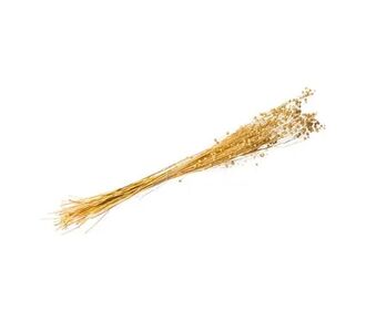 Beauty Home ΑΠΟΞΗΡΑΜΕΝΟ ΛΙΝΑΡΙ 50GR – 60CM       |  Φυτά συνθετικά - Λουλούδια στο espiti