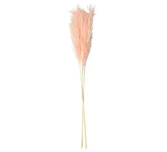 Beauty Home PAMPAS ΡΟΖ 80 CM  3 ΤΜΧ       |  Φυτά συνθετικά - Λουλούδια στο espiti