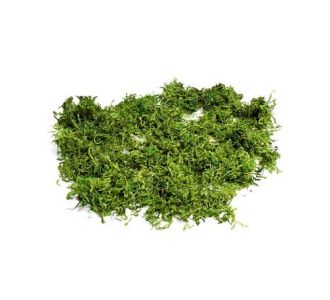 Beauty Home ΦΥΣΙΚΑ ΒΡΥΑ 50gr       |  Διακοσμητκά στο espiti