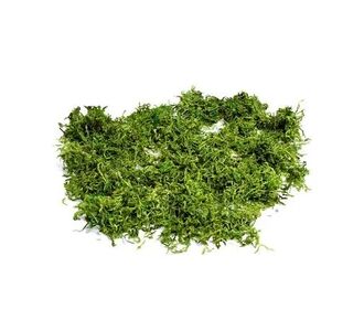 Beauty Home ΦΥΣΙΚΑ ΒΡΥΑ 50gr       |  Διακοσμητκά στο espiti