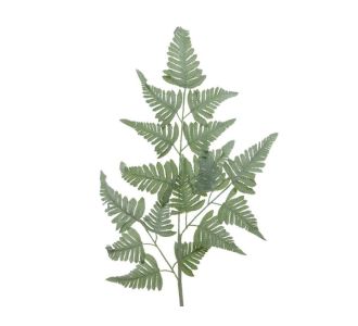 Beauty Home ΦΤΕΡΗ 38x116cm       |  Λουλούδια στο espiti