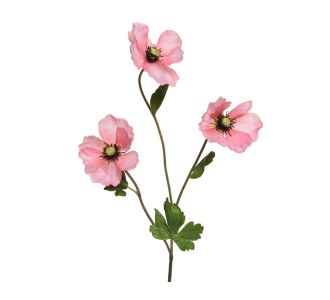 Beauty Home ΠΑΠΑΡΟΥΝΑ ΡΟΖ 71 CM       |  Λουλούδια στο espiti
