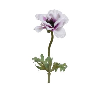 Beauty Home ΑΝΕΜΩΝΗ 57 CM       |  Λουλούδια στο espiti