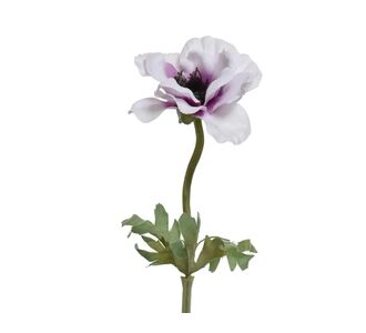 Beauty Home ΑΝΕΜΩΝΗ 57 CM       |  Φυτά συνθετικά - Λουλούδια στο espiti