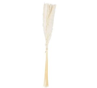 Beauty Home 15 ΚΛΑΔΙΑ ΦΤΕΡΑ ΛΕΥΚΑ 70 cm       |  Φυτά συνθετικά - Λουλούδια στο espiti