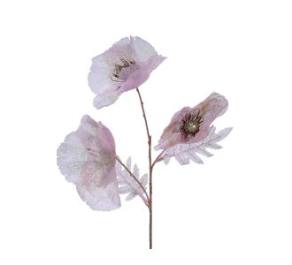 Beauty Home ΠΑΠΑΡΟΥΝΑ ΡΟΖ 76 cm       |  Λουλούδια στο espiti