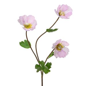 Beauty Home ΠΑΠΑΡΟΥΝΑ ΛΕΥΚΗ ΡΟΖ 71 cm       |  Λουλούδια στο espiti