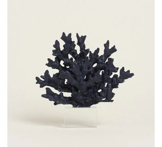 Beauty Home ΚΟΡΑΛΙ ΣΚ. ΜΠΛΕ ΜΕ ΒΑΣΗ PLEXI GLASS 24 x 24 cm       |  Διακοσμητκά στο espiti